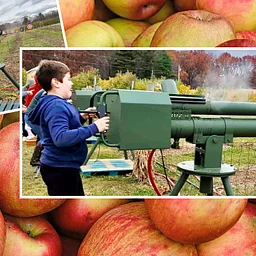 APPLE CANNONS!