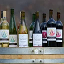 The Acadian Wine Company