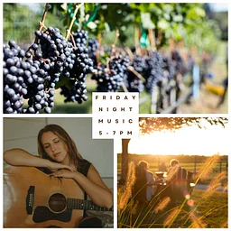 Fall Friday Night Music Series ft. Abby Scharff