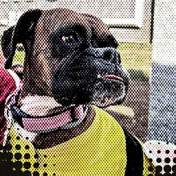 Howl-O-Ween Pet Costume Party