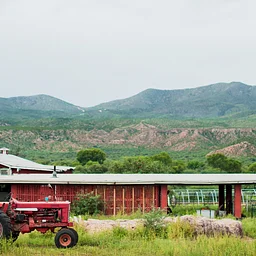 Heirloom Farmers Markets
