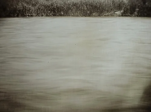 World Wet Plate Day: A Brief History and Contemporary Wet Plate Collodion Practitioners