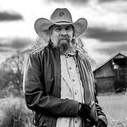 The Artimus Pyle Band