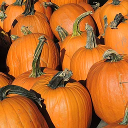 EVENT: Pumpkin Carving at Oryana West