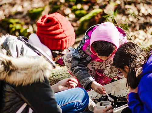 Saturday Nature Hour (Marshfield)