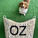 And Your Little Dog Too Event