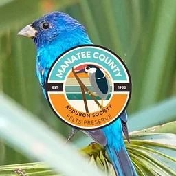 Felts Audubon Preserve Guided Bird Walk