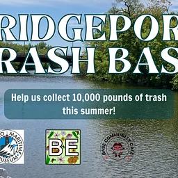 Trash Bash