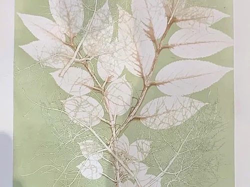 Monotype Printmaking - May ADVANCED