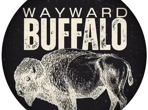 On Stage with The Wayward Buffalo