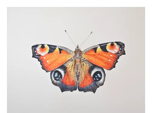 Myth & Meaning in Nature