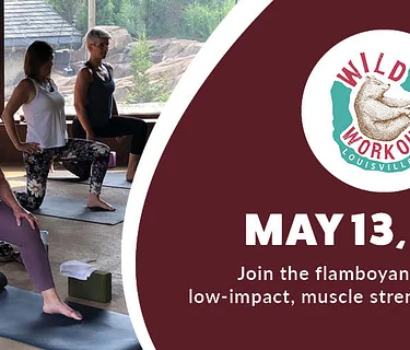 Wild Workout: Yoga (Flamingos)