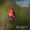 Early Birds in the Garden