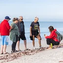 Guided Beachwalk at Blind Pass Condominiums
