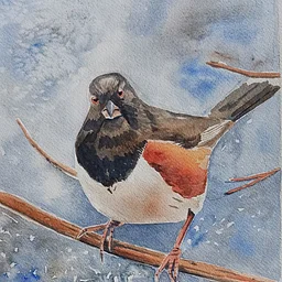 Introduction to Watercolor