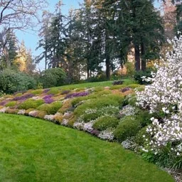 Dunn Gardens