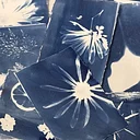 Cyanotypes