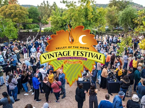 Sonoma Valley Vintage Festival