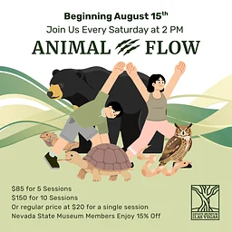 Animal Flow