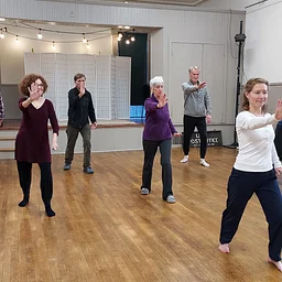 Tai Chi for Beginners: Learn the 24 Move Form