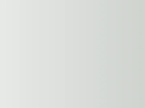 The Merry Wives of Windsor