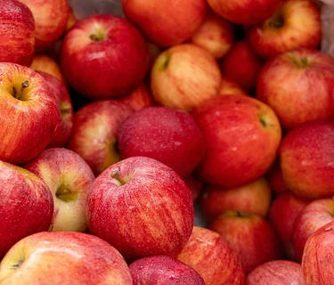 National Farmers Market Week