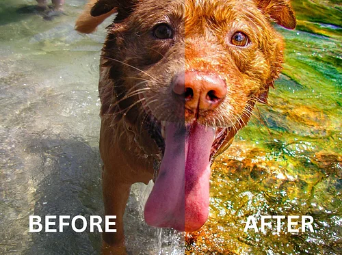 See the Light 2 - A How-To Photography Afternoon with Will van Overbeek