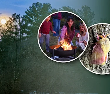 FREE Family Night: Moths, Marshmallows & Moonlight