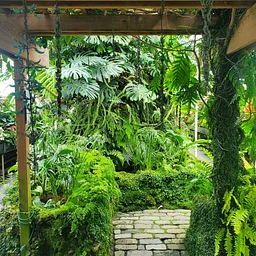 Annual Fall Plant Sale!