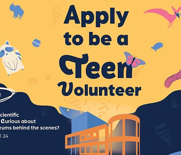 Teen Volunteer Program