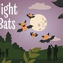 A Night With Bats