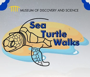 2026 Sea Turtle Walks