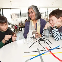 Family Studio: Spiders
