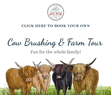 Animal Activities and Farm Tours