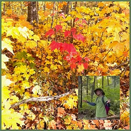 Oct 24