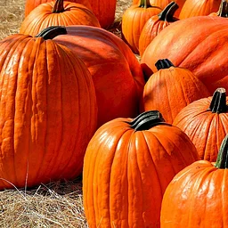 Wausau Fall Festival