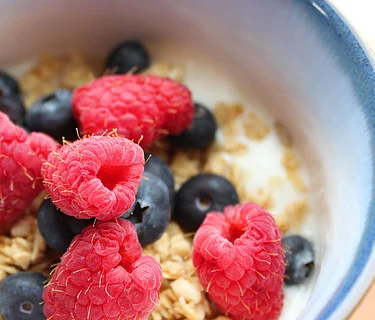 Make Your Own Yogurt