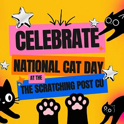 National Cat Day!