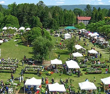 Blandy Farm Garden Fair - Boyce, VA