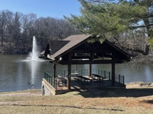 Families in Motion 250