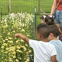 Farm School: Friendly Fields