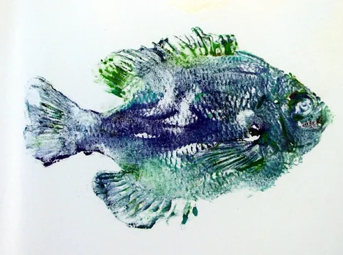 Fish Printing
