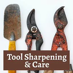 Tool Sharpening & Care