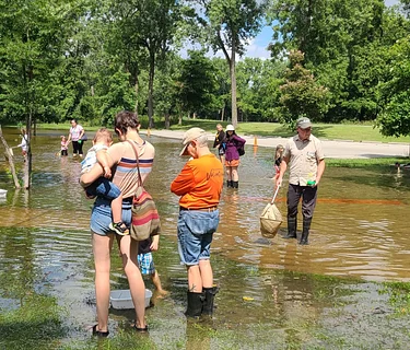 To Catch a Crayfish