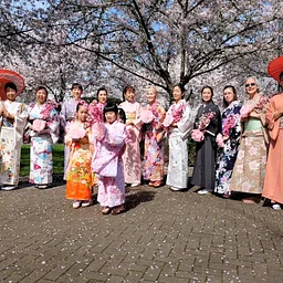 Cherry Blossom Day at the Capitol