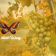 Wildside Winery