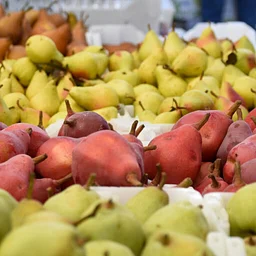Fall Fruit Celebration