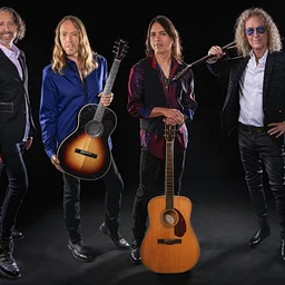 Foreigner: The Hits Unplugged