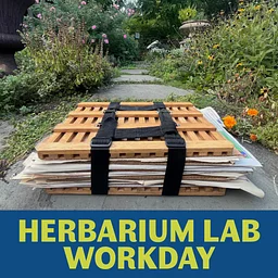 Herbarium Lab Workday