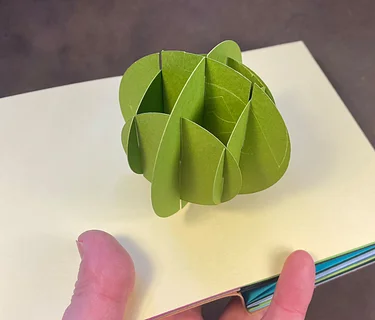 A Study in Sliceforms